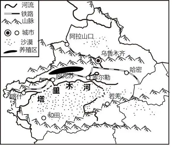 2023-2024学年八年级地理下册:塔里木盆地