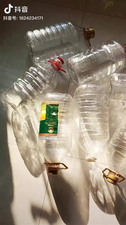 用过的油桶不要扔了,改造成花盆惊艳到我了,颜料是防水丙烯颜料,主页