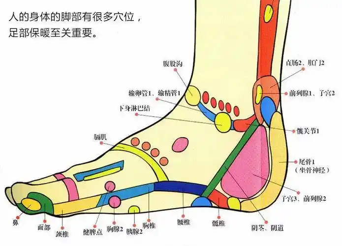 零下20不冻脚这款自发热鞋垫堪比脚底电热毯深冬暖脚丫必备