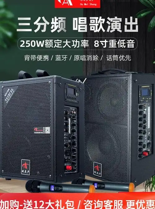 618518户外专业唱歌k歌音响背带便携大功率三分频演出音箱优惠券