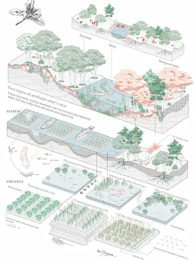 景观设计|3种景观生态修复设计策略.项目名称:《from " - 抖音
