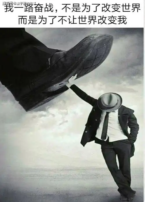 超讽刺的内涵图片,人生不就是如此吗