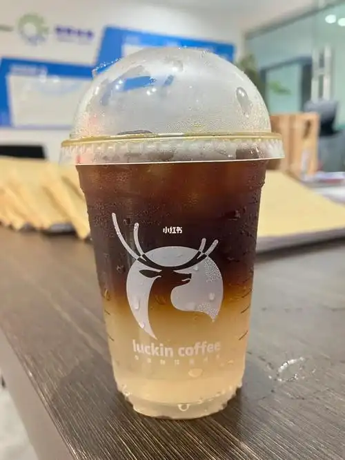 浅尝椰青冷萃咖啡