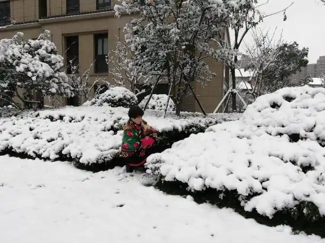 我喜欢漫雪纷飞