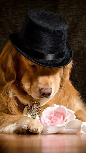 640_1136竖版 竖屏