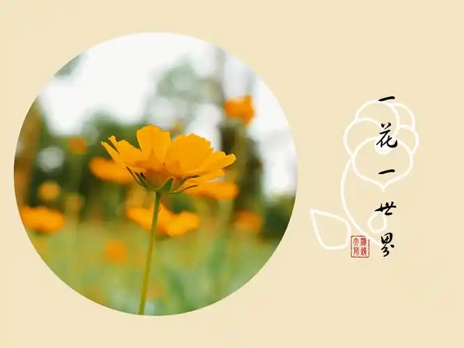 一花一世界,一叶一菩提. - 迷人险境 - 图虫