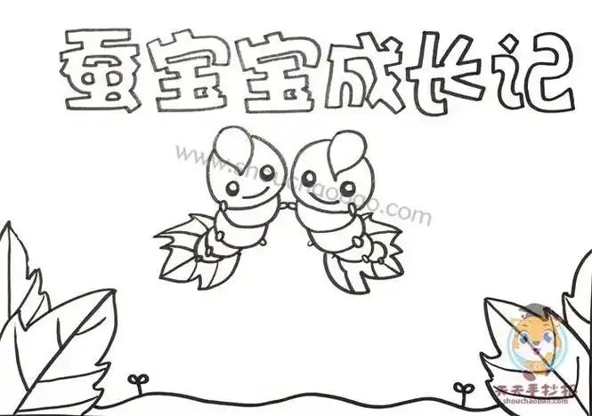 三年级蚕的一生手抄报蚕的一生手抄报