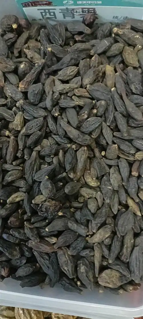 中药材野青果批发价