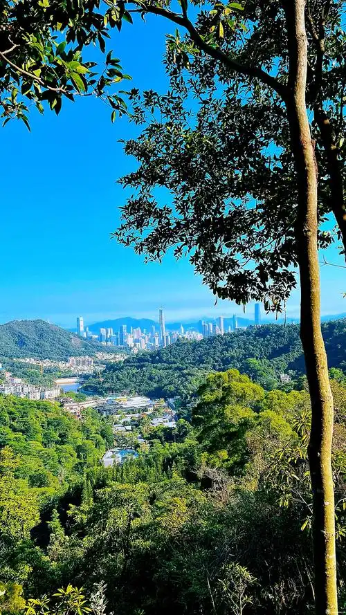 深圳银湖山郊野径空气清新值得去走走