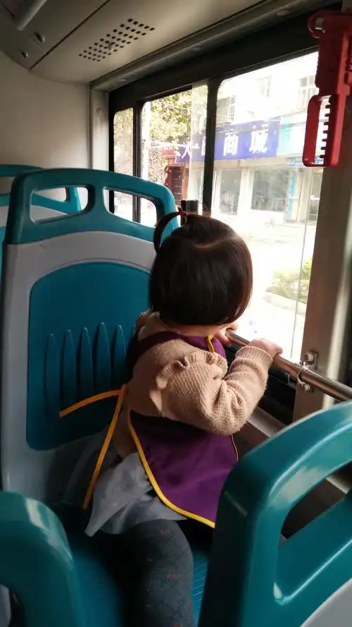 乘公交车去公园