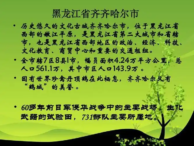 黑龙江齐齐哈尔ppt