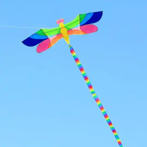 潍坊筝乐长尾七彩蜻蜓风筝儿童成人大型新款微风易飞大人专用