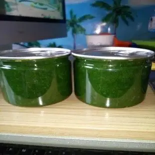 甘肃沙葱酱泥蒜泥腌制野菜酱菜火锅配料武威民勤特产绿色包邮批发