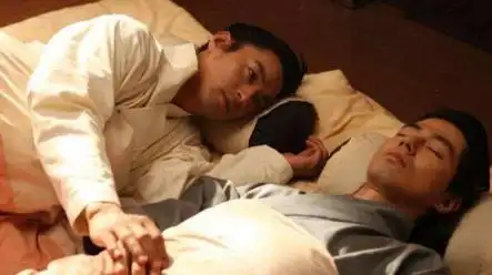 lex等,而古代专指男性同性恋的则是龙阳之癖,也叫作龙阳之好,断袖之癖