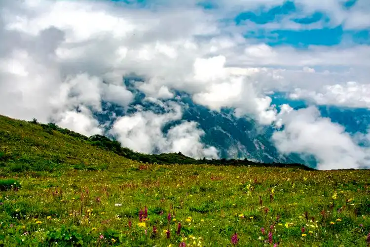 登九鼎山看云海与花海相映成趣