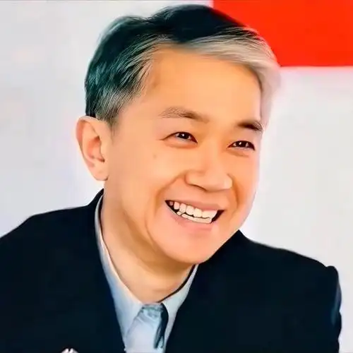 中国最帅的外交官 汪文斌