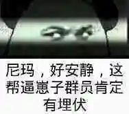 尼玛,好安静,这帮逼崽子群员肯定有埋伏!