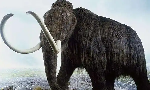 地球上7大史前动物,恐龙居榜首,猛犸象第五,你都认识吗?