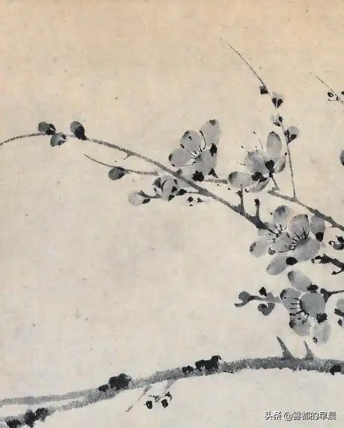 画梅圣手王冕笔下的梅花
