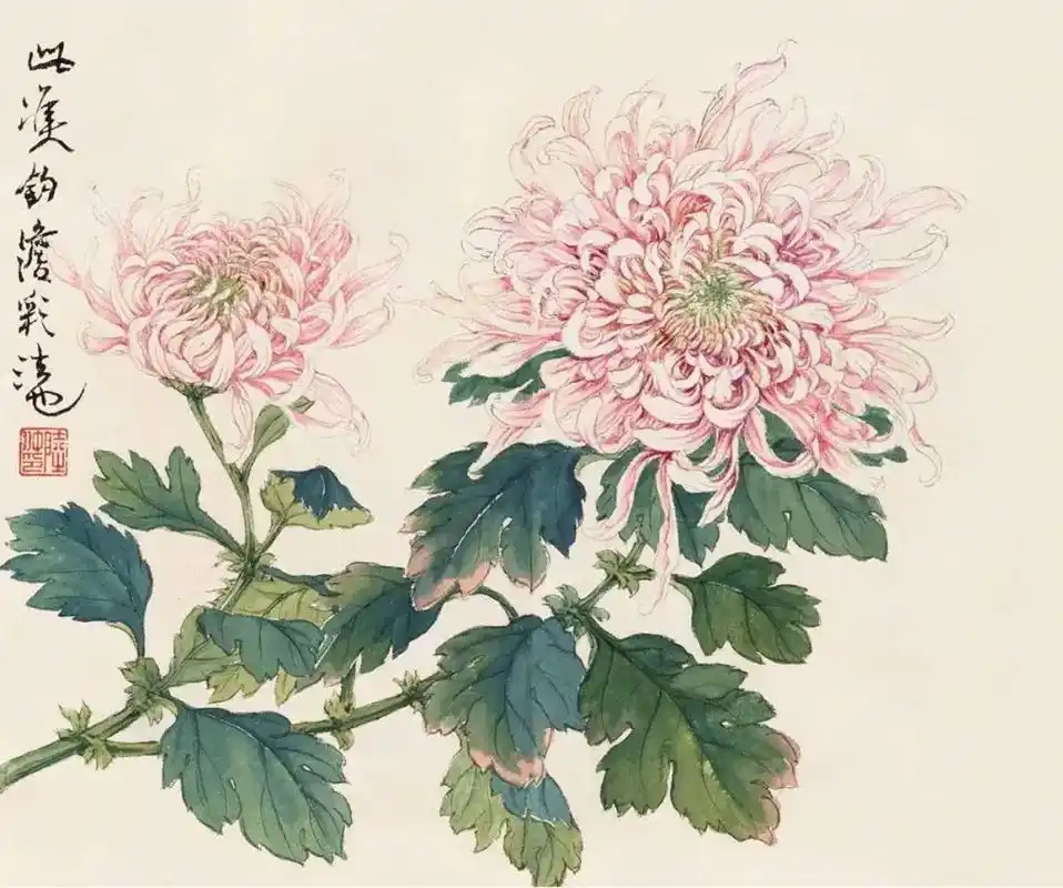 国画 菊花飘香的季节 - 抖音