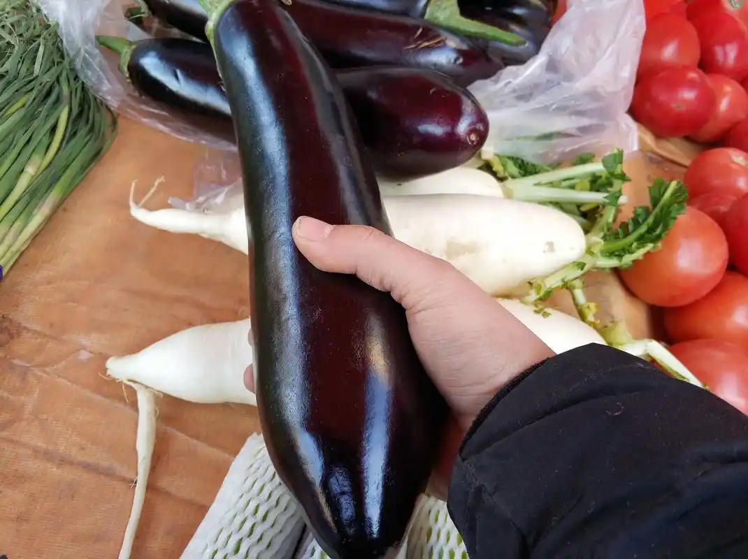这种紫茄子,产自湖南,老板卖三块钱一斤,这种又粗又大的紫茄子做红烧