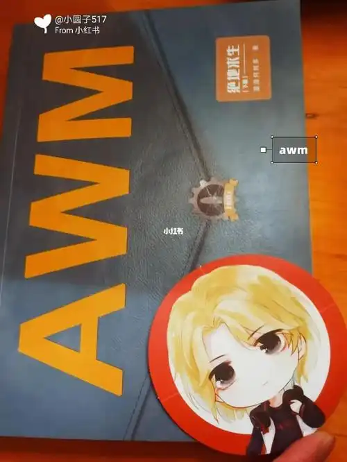 把awm绝地求生看完了