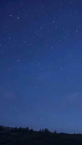 1081_1921竖版 竖屏