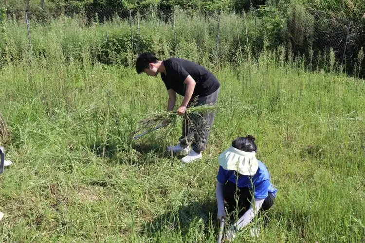 井冈山大学,浙江理工大学,江西科技学院三校联合开展暑期社会实践活动