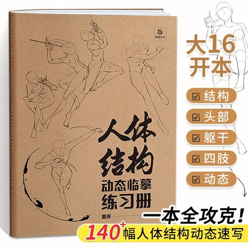 人体结构动态临摹练习册素描书临摹画册漫画人物零基础自学入门