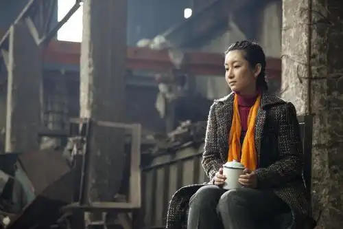 秦海璐携两部电影亮相上影节再创事业高峰