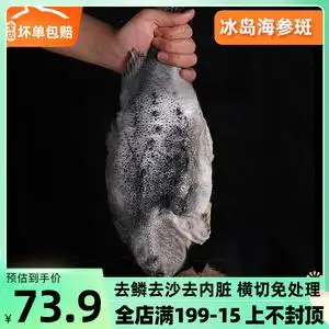 海参斑鱼 特大新鲜冰岛进口深海鱼2.5-3斤海鲜水产石斑鱼冷冻斑鱼
