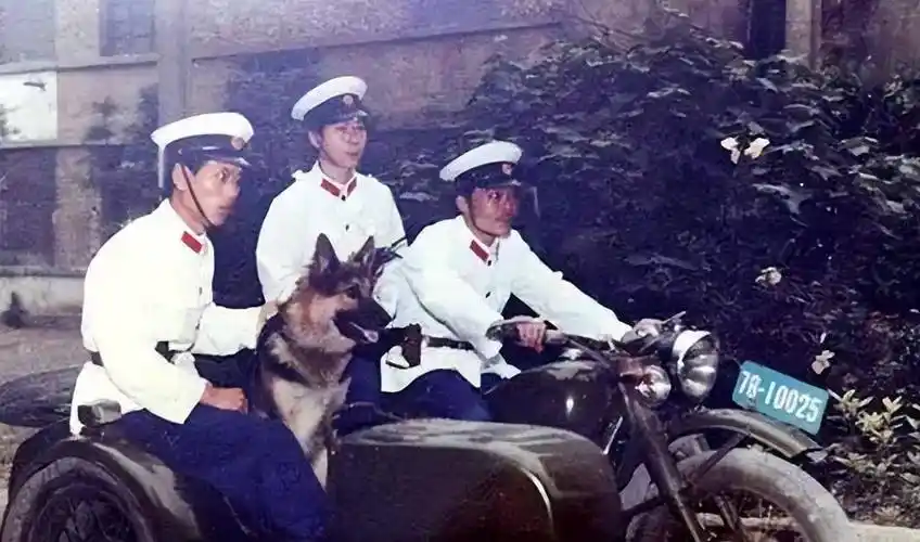 原创中国警察队伍换发了8种警服1995年为何撤销领章
