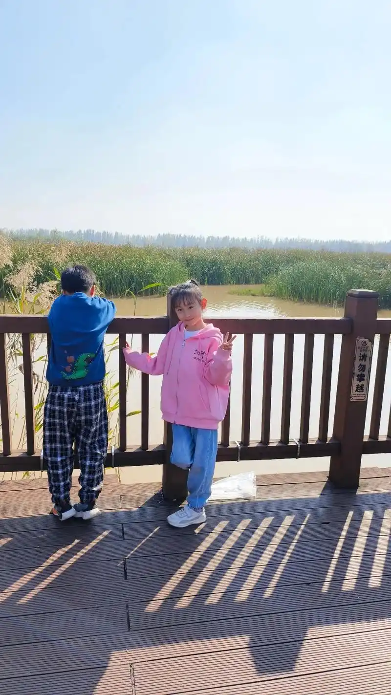 杨凌渭河湿地公园风景太哇塞了!芦苇荡,杨树林,波光粼粼的渭河 - 抖音