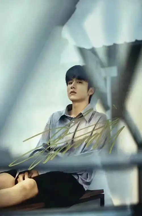 上新 张新成 新鲜出炉 独家款 同款签名照 拍立得 海报