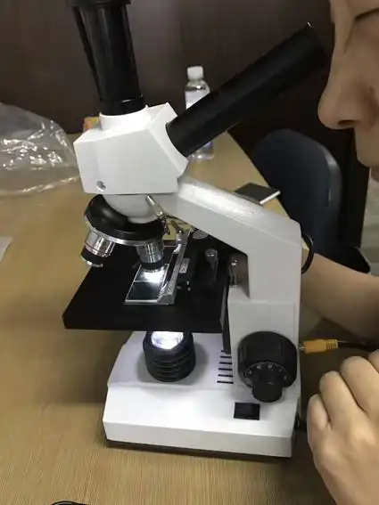 你家床垫尘垢里有什么