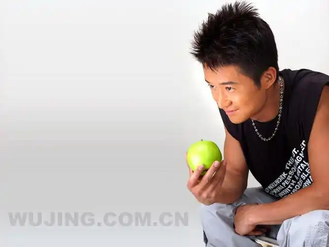 我是特种兵2何晨光扮演者吴京