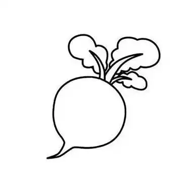 圆形胡萝卜简笔画