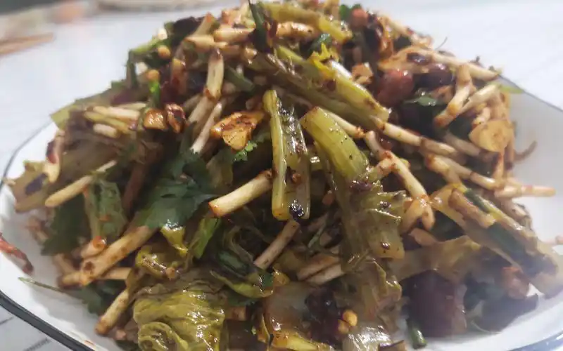 贵州折耳根护体,折耳根火了,折耳根拌酸菜,酸爽开胃-三农视频-搜狐