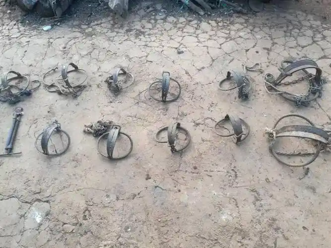 大理两名男子非法猎捕野生动物._麂子