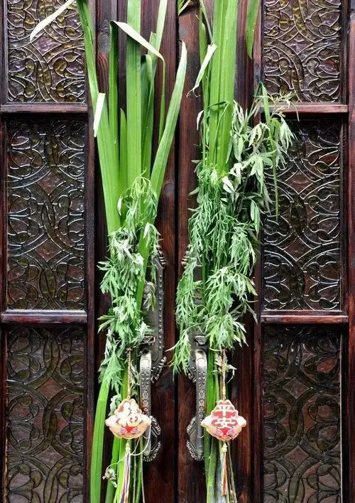 每年端午节家家户户门前挂艾叶,菖蒲的习俗,在我国已经流传了将近两