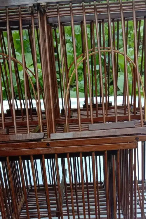 凡佰酷鸟笼子踏笼黄豆绣眼贵州凯里鸟笼老竹制定制咖啡色