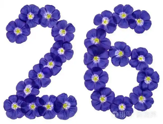 阿拉伯文数字26二十六从亚麻蓝色的花isolat