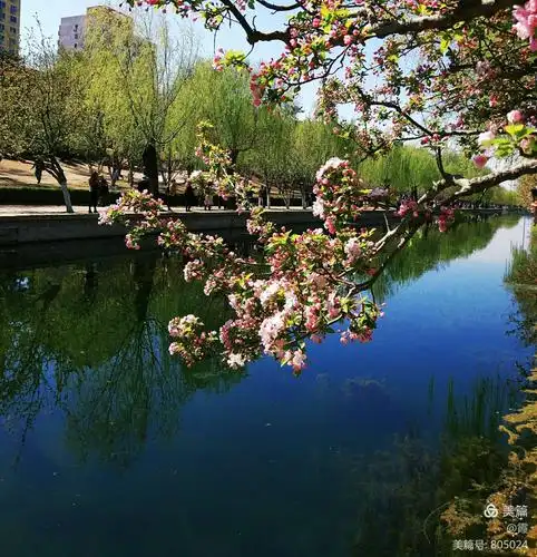北京元大都公园海棠花溪