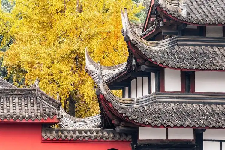 成都文殊院,一座充满历史和文化底蕴的佛教寺庙 在成都的清晨,阳光