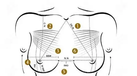 台州维多利亚刘金华隆胸依据一定美学标准