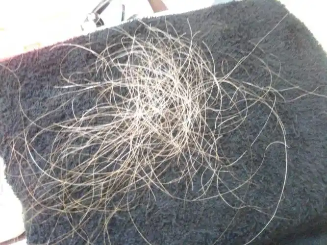 拔白头发要钱日本发廊专门替顾客拔白头发每小时拔出400根收费rm274