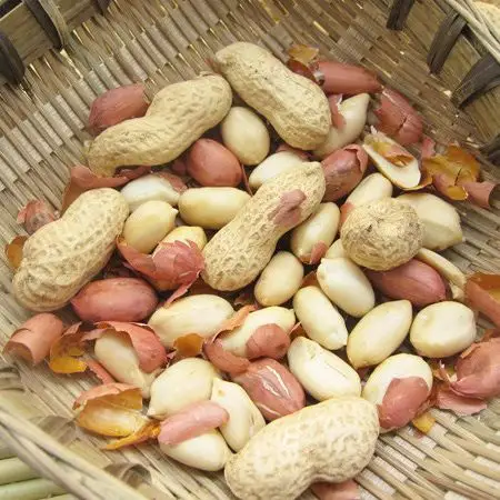 哇兔干果 农村铁锅沙炒花生,带壳熟花生特惠产品满2件包邮