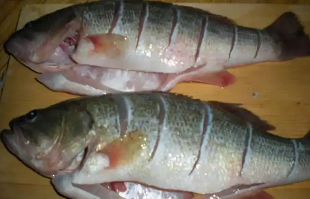 鲈鱼有小刺没(鲈鱼家常做法)-图4