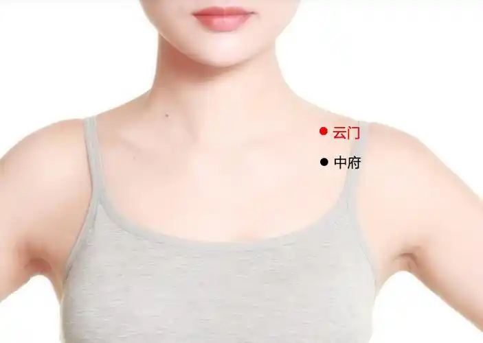 位置 在胸前壁的外上方,肩胛骨喙突上方,锁骨下窝凹陷处,距前