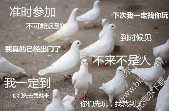 其中:人类的本质是鸽子的意思是爽约,多多少少大家都说过下次一定找你